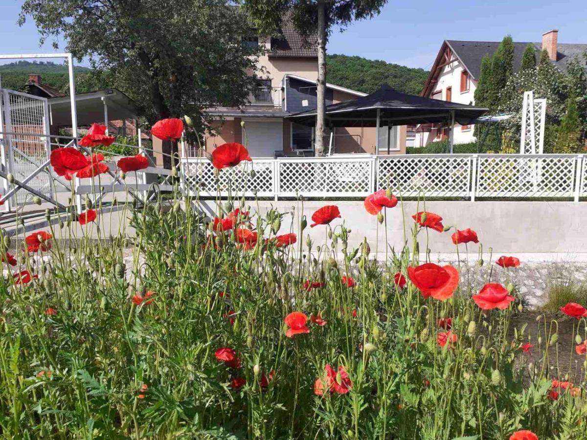Riverside Apartman**** Miskolc Luaran gambar