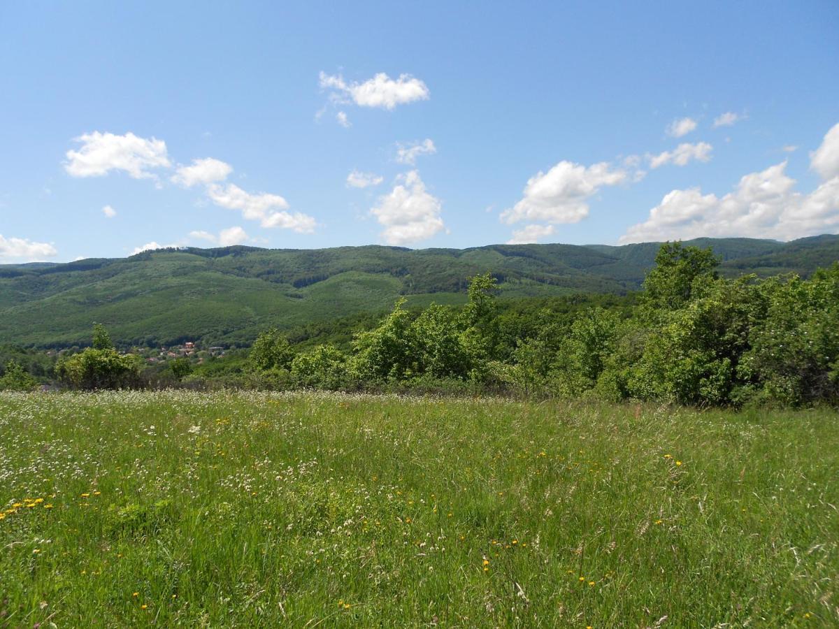 Riverside Apartman**** Miskolc Luaran gambar
